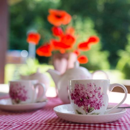 Bed and Breakfast Gosciniec Malinowka Krzeszna Esterno foto