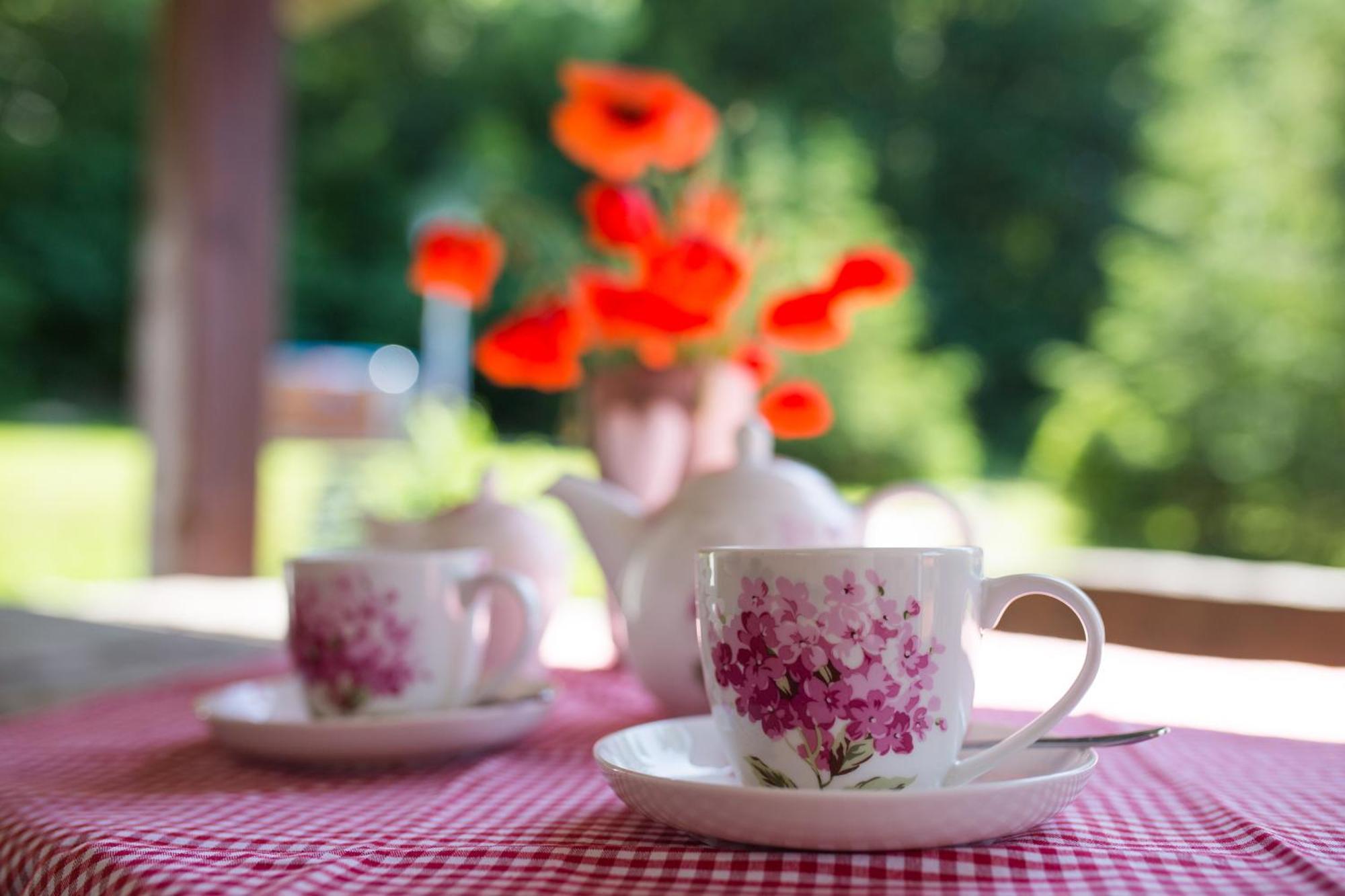 Bed and Breakfast Gosciniec Malinowka Krzeszna Esterno foto